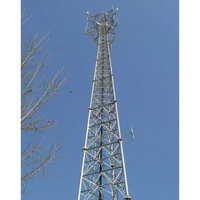 Polished Solar Telecom Tower