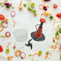Manual Press Fruit and Vegetable Chopper