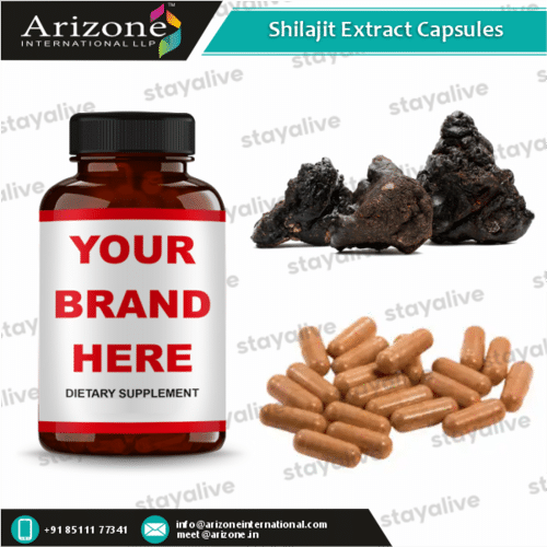 Shilajit Extract Capsules