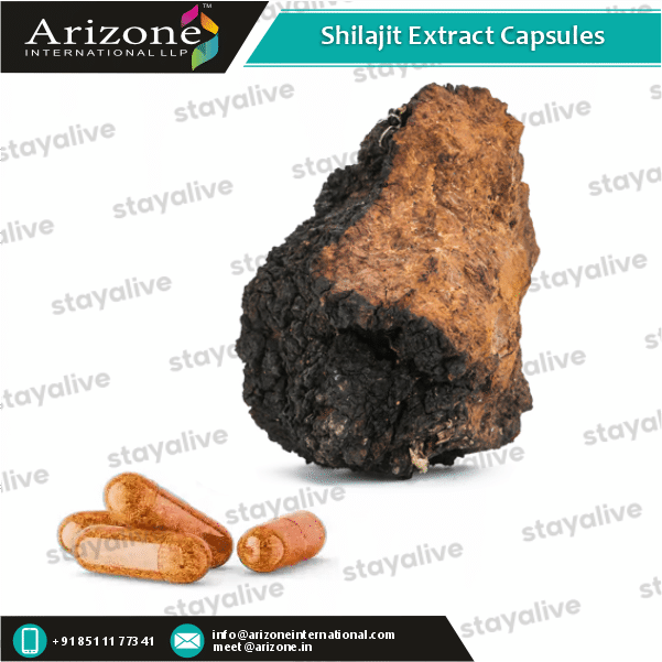 Shilajit Extract Capsules