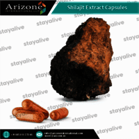 Shilajit Extract Capsules