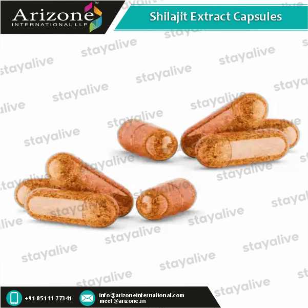 Shilajit Extract Capsules