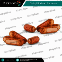 Shilajit Extract Capsules