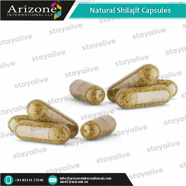 Natural Shilajit Capsules