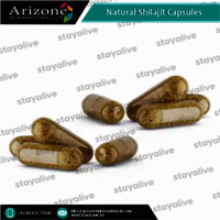 Natural Shilajit Capsules