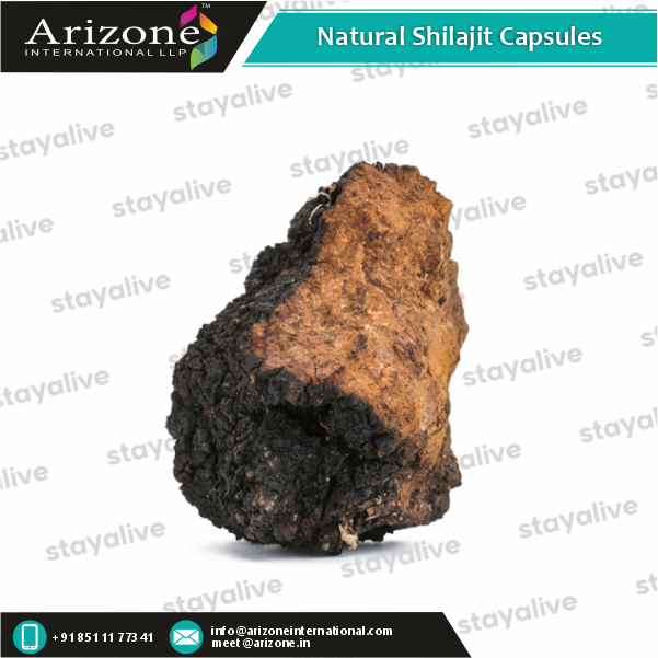 Natural Shilajit Capsules