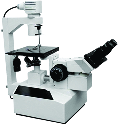 Binocular Inverted Tissue Culture  Microscope Model ITC-15