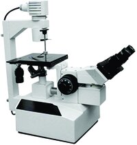 Binocular Inverted Tissue Culture Microscope Model Itc-15 - 45â° Inclined Trinocular Head, Quadruple Revolving Nosepiece, 50w Halogen Illumination, Wf10x Eyepieces With Guards