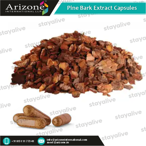 Pine Bark Extract Capsules