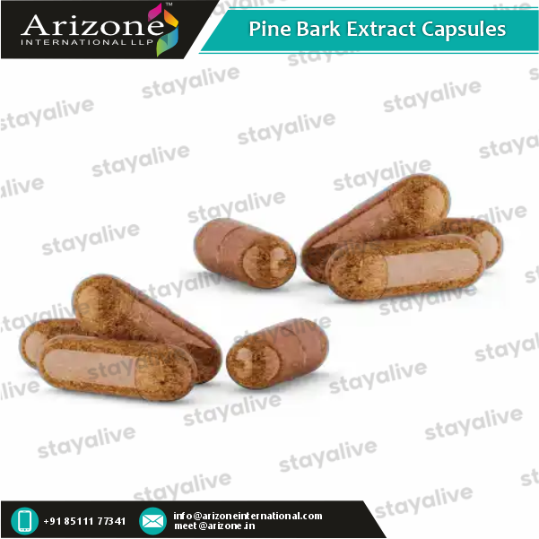 Pine Bark Extract Capsules