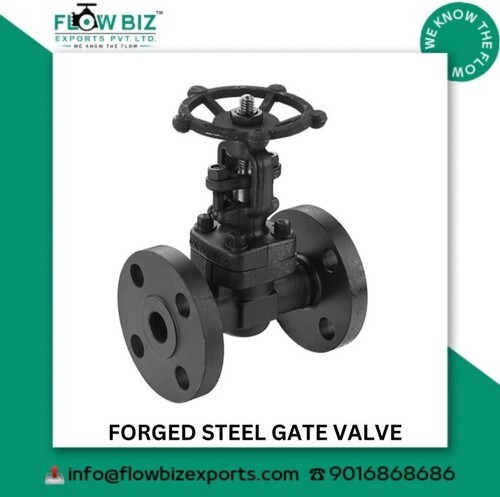 Industrial Forged Steel Gate Valve Manufacturer Vapi India