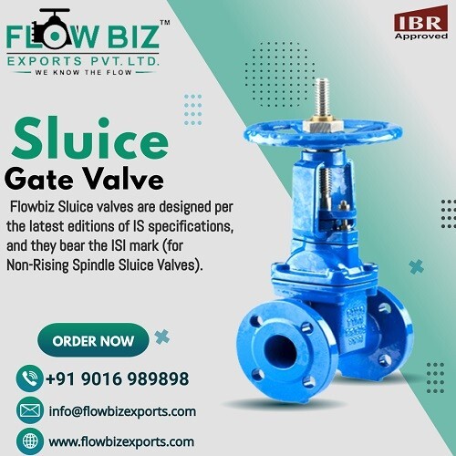 API Standard Sluice Gate Valve Manufacturer Vapi India