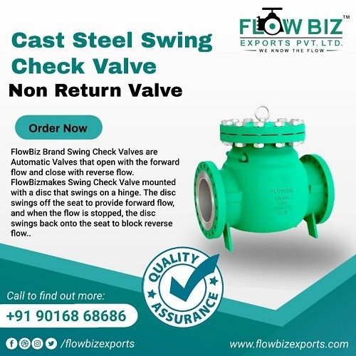 Swing Check Valve Manufacturer in Vapi