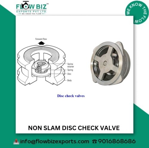Non Slam Check Valve Manufacturer in Vapi, Gujarat | Industrial Valve Supplier