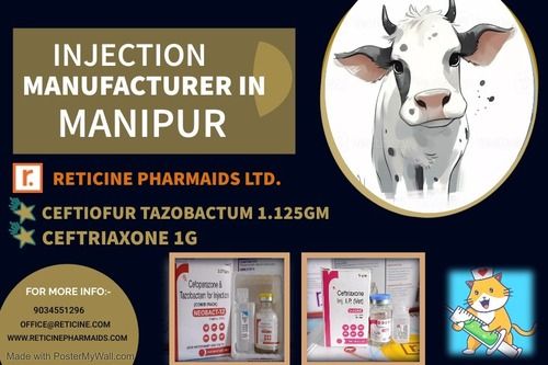 INJECTION MANUFACTURER IN MANIPUR