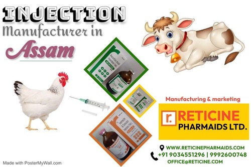 INJECTION MANUFACTURER IN ASSAM