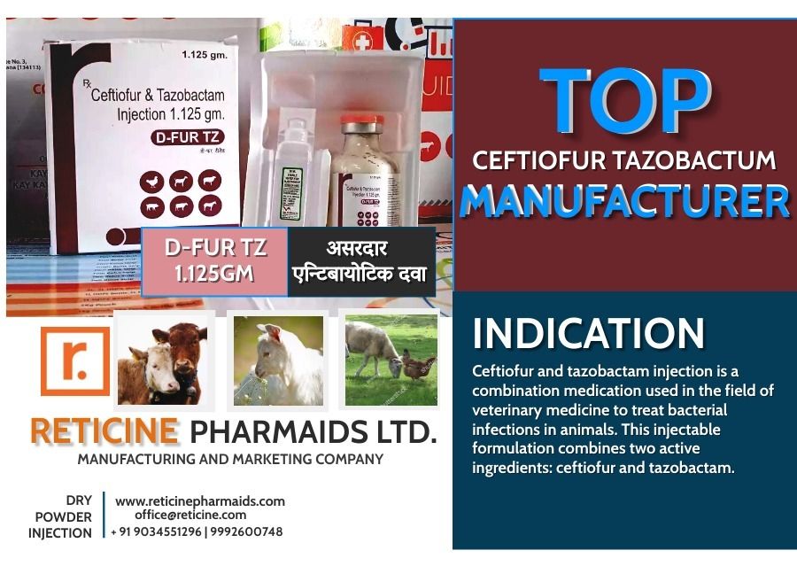 INJECTION MANUFACTURER IN ASSAM