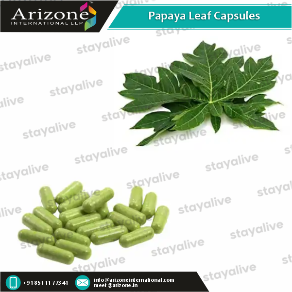 Papaya Leaf Capsules