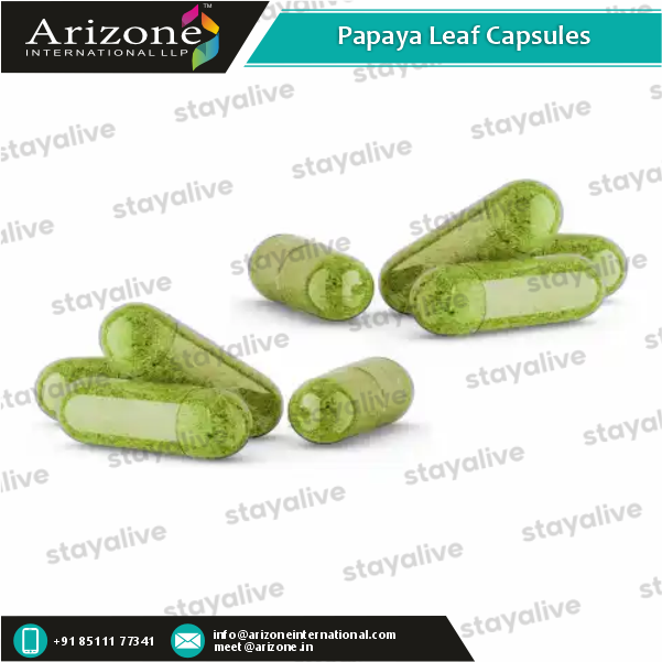 Papaya Leaf Capsules