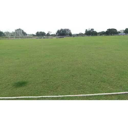 Cricket Ground Construction