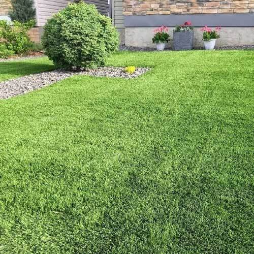 Artificial Lawn Grass - Color: Green