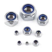 SS Nylock Nut