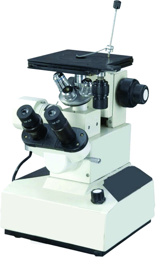 Inverted Binocular Metallurgical Microscope Model IMM-10