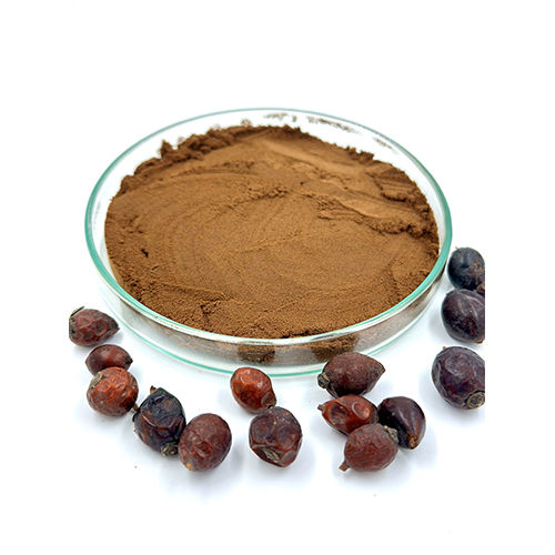 Rosa canina (Rose Hip) Dry Extract Powder