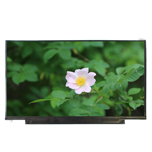 13.3 Inch TFT LCD Module