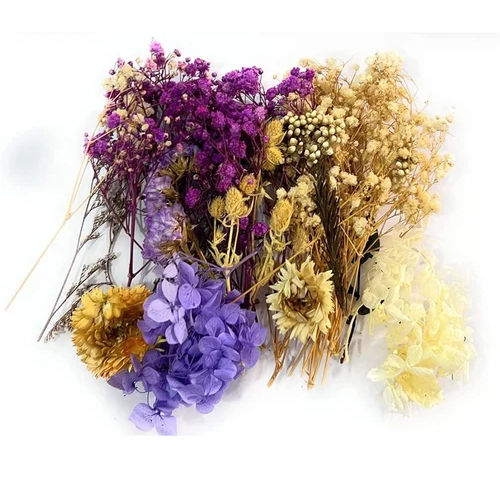 Multicolor Dried Flowers For Resin Art