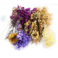 Dried Flowers for Resin Art - Multicolor Dried Floral Arrangement, Ideal for Home DÃ©cor | Durable Material, Unique Design, Long-lasting Brightness