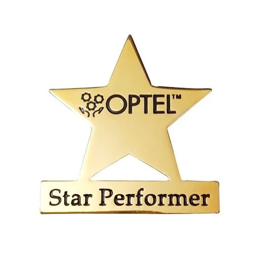 Star Performer Lapel Pin