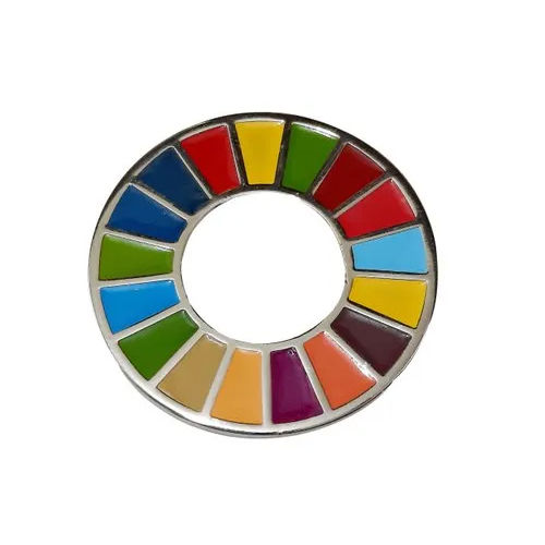 SDG Lapel Pin