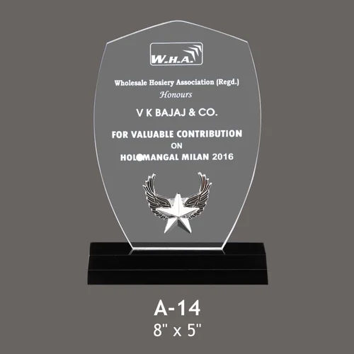 A14 Shield Shape Acrylic Trophy