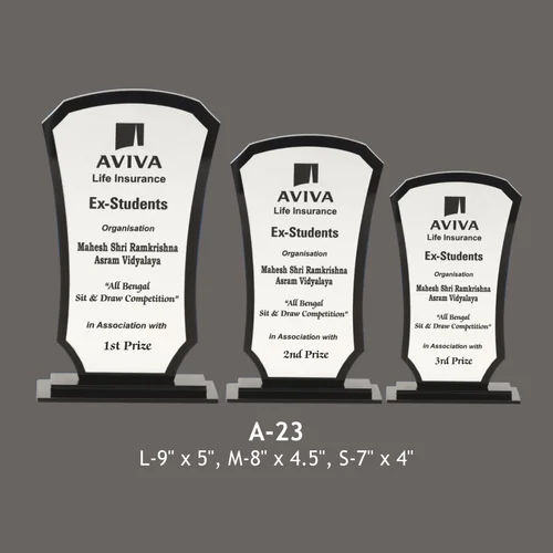 A23 Stylish Acrylic Trophy