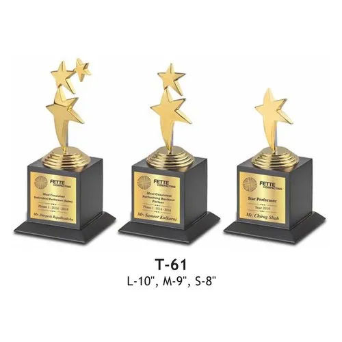 T61 Corporate Trophies