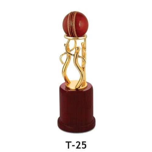 T25 Sports Trophy Size: 11"