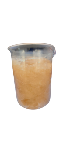 Dish Wash Concentrate 10X