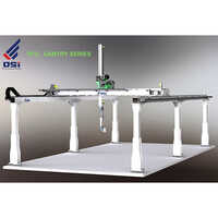 VFD Gantry Series Robot System