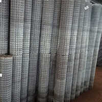 Poultry Wire Net