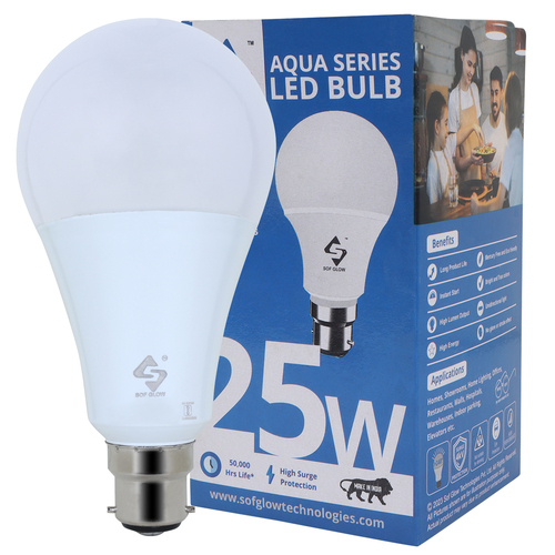 25W LED DOB BULB A80 HB B-22 CW