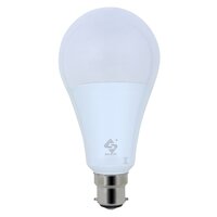 25W LED DOB BULB A80 HB B-22 CW