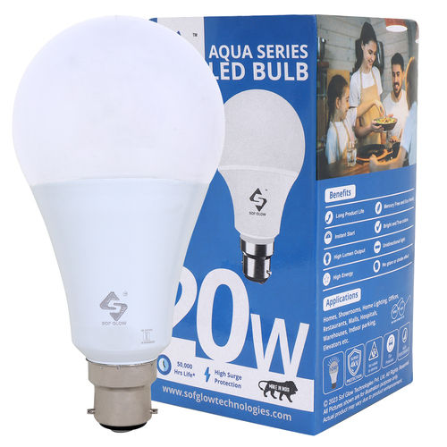 20W LED DOB BULB A80 HB B-22 CW