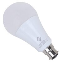 20W LED DOB BULB A80 HB B-22 CW