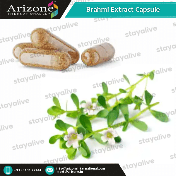 Brahmi Extract Capsule