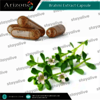 Brahmi Extract Capsule