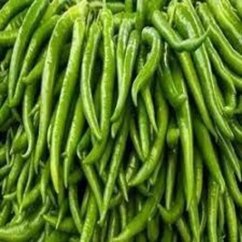 Green Chilli - Grade: Food Grade