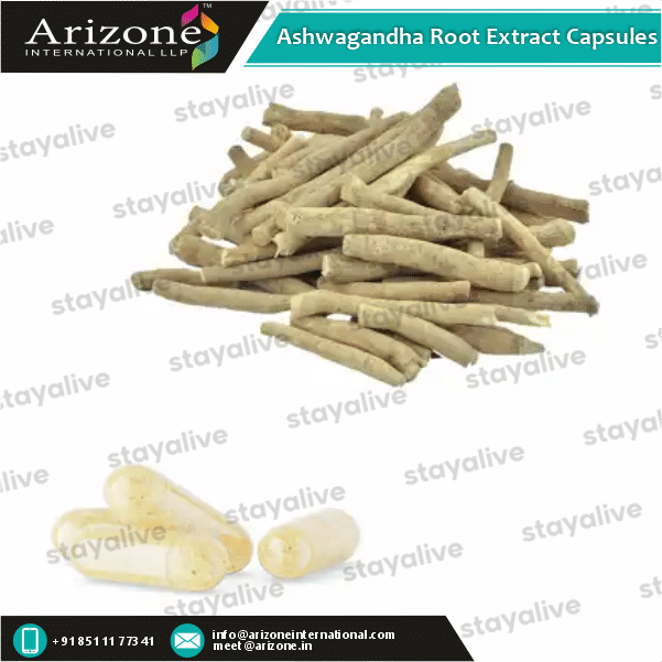 Ashwagandha Root Extract Capsules