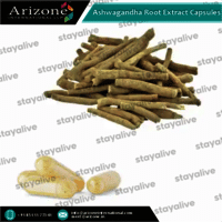 Ashwagandha Root Extract Capsules