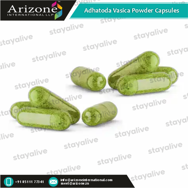 Adhatoda Vasica Powder Capsules